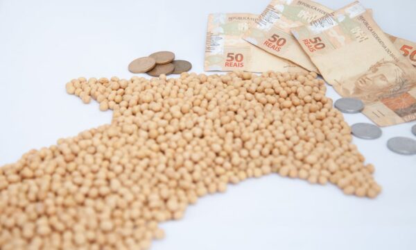 Preços da soja se elevam e queda produtiva dos EUA pode gerar novas altas