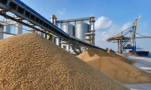 USDA projeta alta de US$ 7 bilhões nas exportações agropecuárias dos EUA em 2027
