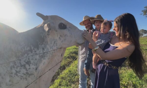 Bovinos influenciadores: conheça a vaca Leide e o touro Xerife
