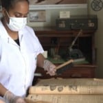 Esalq-USP lança portal com 30 mil documentos sobre a história do agro; saiba mais