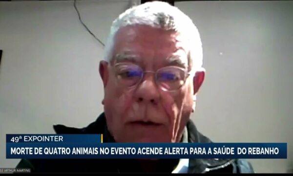 Morte de quatro animais na Expointer gera alerta sobre saúde do rebanho