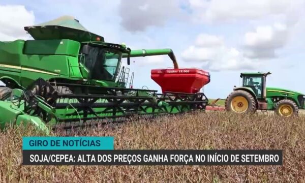 Exportação de carne bovina do Brasil recua 27% em agosto de 2023